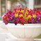 12-Bundle Artificial Outdoor Flowers – Faux Silk Colorful Daisies and Eucalyptus, UV-Resistant Realistic Plants for Spring/Summer Home, Planters, Porch, and Yard Decor (Mixed Colors)